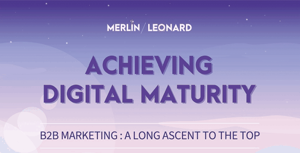 digital maturity in B2B marketing