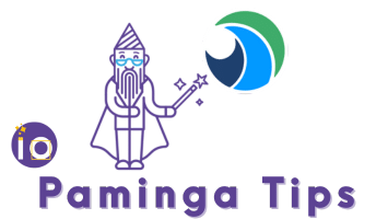 Paminga Tips par Merlin/Leonard - La Playlist Ultime avec Sylvain Davril